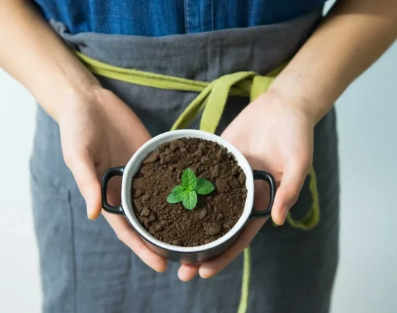 A picture of a bowl with dirt and a plant, with someone’s hands around it