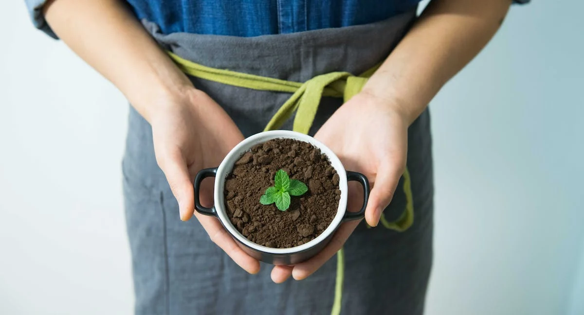 A picture of a bowl with dirt and a plant, with someone’s hands around it