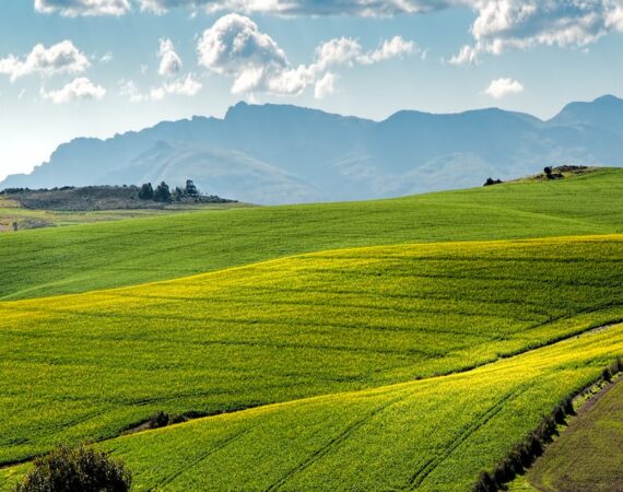 A picture of rolling green hills with mountains in the background