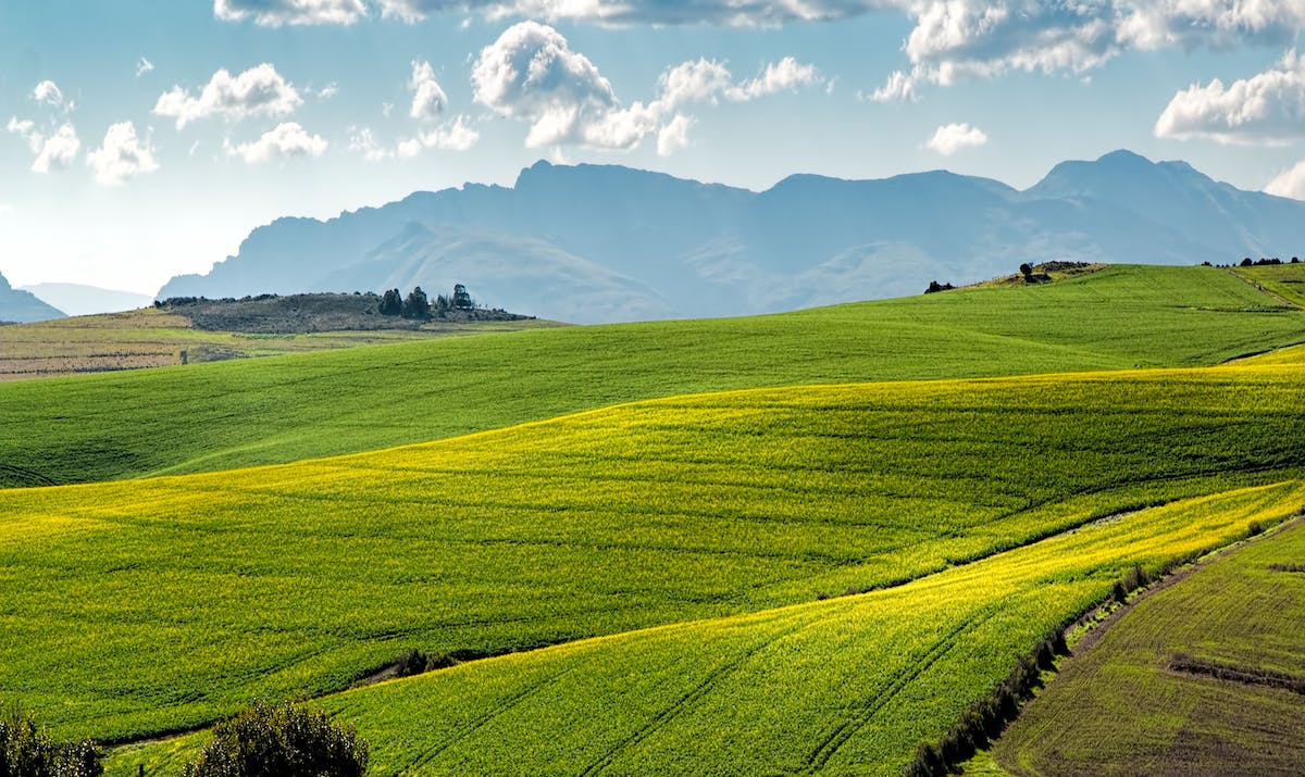 A picture of rolling green hills with mountains in the background